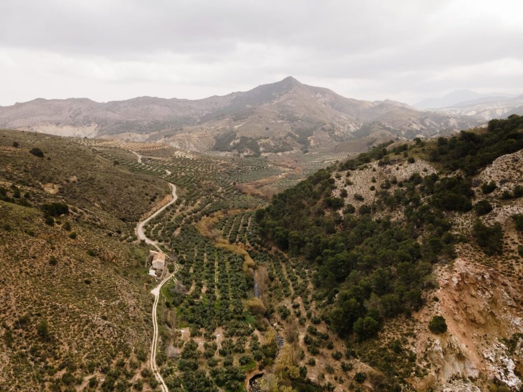 Aerial view of a remote, dramatic mountain valley featuring scattered olive groves, winding dirt roads, and dry, rocky slopes. This is the type of road you will find after renting a car in chania